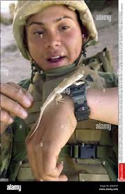 Carlos bravo hi-res stock photography and images