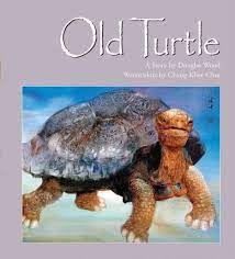 Old Turtle And The Broken Truth New Edition Douglas Wood 9780439309080