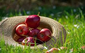 Каждый год люди празднуют яблочный спас, в 2021 году праздник приходится на 19 августа. Yablochnyj Spas 19 Avgusta 2021 Tradicii Zaprety Pozdravleniya Online Ua