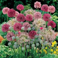 Elemente Der Garten Gestaltung Im Landhausstil Fur Landliches Flair Cottage Garten Design Blumenbeet Designs Und Blumen Anbauen