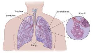 I am 63, smoked a little for a year when i was 22 and 1 cigarette a day for a year 3 years ago. If You Have Non Small Cell Lung Cancer Non Small Cell Lung Cancer Guide