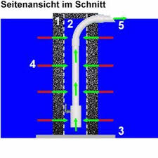 Tschechische Luftheber Aquaristik Susswasserfische Aquariumpflanzen