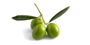 La Compagnie De L Huile D Olive Vente Huile D Olive De France Aoc Aop Et Bio La Compagnie De L Huile D Olive