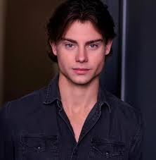 Any theories/opinions