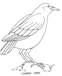 The crows coloring pages also available in pdf file that you can download for free. Crow Coloring Page Animals Town Animals Color Sheet Crow Free Printable Coloring Pages Animals