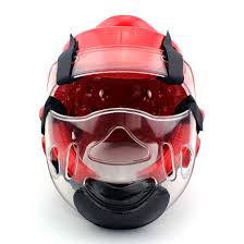 Tae kwon do is a martial art transformed into an olympic sport of combat from the year 1988. Martial Arts Body Protective Taekwondo Head Guard Helmet For Protector China Nbr Helmet And Taekwondo Helmet Price Made In China Com