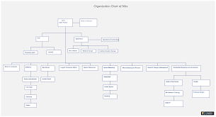 Organizational Structure Of Foot Locker Inc Coursework Sample