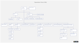 org chart highlighting visualizing the organizational