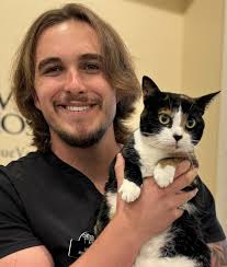 Experienced Veterinarians