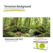Image result for Terrarium Cling Background