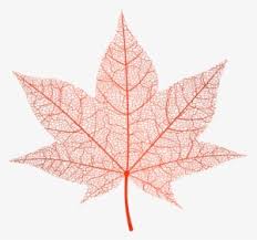 Falling Leaves Png Images Free Transparent Falling Leaves Download Kindpng All png images can be used for personal use unless stated otherwise. falling leaves png images free