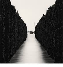 15 first birthday gifts that any baby will adore. Michael Kenna Meet The Master Photographer Milk Books