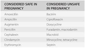 Infections In Pregnancy Section 2 Infections In Pregnancy