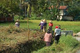 Dihalaman ini anda akan melihat gambar anak sekolah gotong royong yang menarik! Gotong Royong Di Malaysia Wikipedia Bahasa Melayu Ensiklopedia Bebas