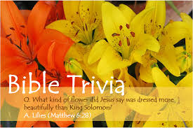 Feb 03, 2019 · everyone enjoys a fun game of trivia so go ahead and give these fun trivia questions for kids a try! Bible Trivia 300 Series Bible Iq
