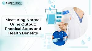 Image result for Urine Output