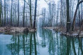 Landschaftsbilder urlaubsziele spreewald reisen deutsche landschaft wald urlaub winter fotografie fotografie. Der Spreewald Im Winter Die Schonsten Ausfluge Blickgewinkelt