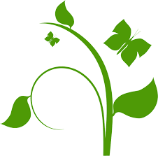 Don't want to provide attribution? Daun Png Vector 4 Png Image