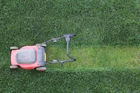 Does well in japanese gardens, near streams, ponds, water features, around pools, courtyards and. Diseases That Commonly Affect Zoysia Grass Gardenerdy