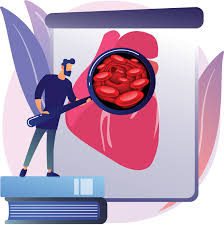 Online lecture 1 heart anatomy pdf anatomy and. A Look At The Human Heart