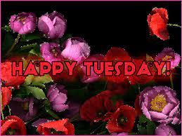 Happy tuesday images, good morning tuesday quotes messages & wishes with pictures june 8, 2001 by admin leave a comment tuesday, comparatively the less stressful day when it compares to monday, is the second day of the week. Happy Tuesday Gifs 123 Funny Animated Pics With Wishes