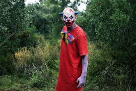 Related Image Clowns In The Woods Evil Clowns Scary Photos