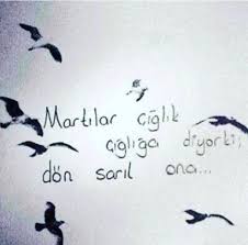 Martilar Ciglik Cigliga Diyor Ki Don Saril Ona Teoman Guzel Soz Kitap Ozlu Sozler