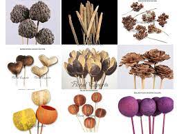 Check spelling or type a new query. Natural Dried Flowers At Best Price In Kolkata West Bengal From Floral Exports Id 2582905