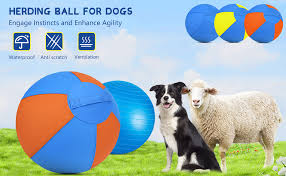 Herding Ball for Dogs