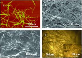 Check spelling or type a new query. A Afm Image Of Nfc Sem Images Of B The Original Filter Paper And Download Scientific Diagram