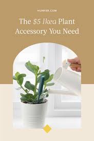 Ikea Has Just Launched A 5 Game Changing Plant Accessory Hunker Plants Ikea Plants Plant Hacks