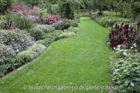 Rund um die rose der treffpunkt für rosenfans. Stauden Graser Als Randbepflanzung Garten Pur De Galerie