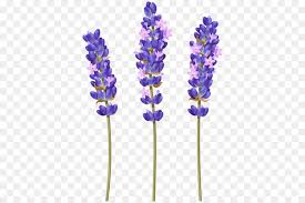 Background design resources · iphone, zoom backgrounds & desktop hd wallpapers. Flowers Cartoon
