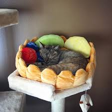 How can you keep your cat off the bed? How To Get Your Cat To Actually Use Their Cat Bed Meowingtons