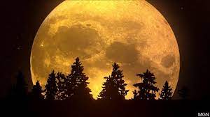 The double planet, or condensation hypothesis, claimed that the moon: Bon Ton Bakery Catering Deli Day 5 Fall Trivia Question Answer Q What Is Fall S Full Moon Called A The Harvest Moon This Year The Brilliant Harvest Moon Will Appear