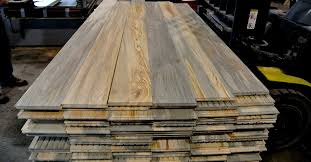 It has a hard black exoskeleton, and measures approximately. Beetle Killed Pine Flooring Sustainable Lumber Company