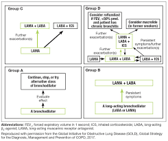Image result for Medications in COPD Management