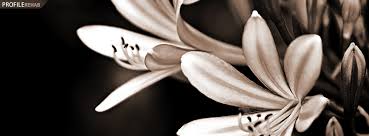 Black and white updated their cover photo. Black And White Quotes Facebook Covers Quotesgram