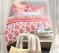 Give your teen a l… Crane Canopy Luxury Bedding