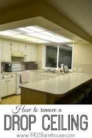 How To Remove A Drop Ceiling Dropped Ceiling Kitchen Ceiling Home Decor Kitchen