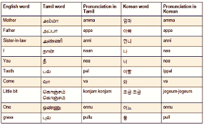 Amma Appa To Nee Naan Tamil And Korean Share A List Of Common Words The News Minute