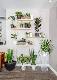 Diy Home Decor Ideas Plant Decor Indoor House Plants Decor Indoor Plant Wall