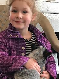 Maasdam Barns has 'Babies at the Barn' event