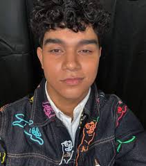 dearALICE: Britain's Talented Boyband, the Docuseries & their Amazing Meet  & Greet