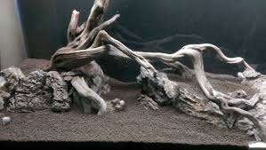 Hardscape Bể Ca