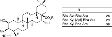 Image result for Alectra orobanchoides