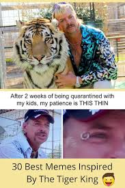 30 Best Memes Inspired By The Tiger King In 2020 Best Memes Memes Inspiration