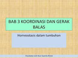 While there are normal fluctuations from the set point, the body's systems will usually attempt to go back to this point. Homeostasis Tumbuhan Lessons Blendspace