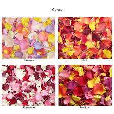 Freeze Dried Rose Petals Rose Petals Freeze Dried Rose Petals Dried Rose Petals