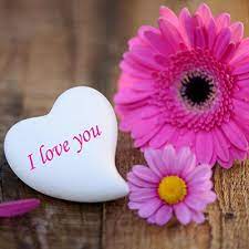 Flowers for my life tells a love story between a man facing death and a woman numb to death. Beautiful Love Flowers For Her